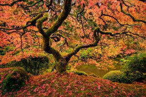 Photo By Scott Rubey