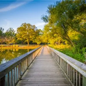 lake norman boardwalk